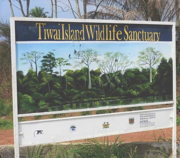 Tiwai Island is a wildlife sanctuary and community-led tourism site, which is run by EFA. The island is home to a population of pygmy hippopotami, over 135 different species of birds and 